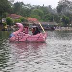 Blowfish Kitchen & Bar